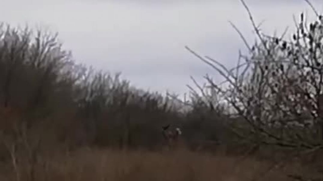 Видео с, якобы, сдающимся в плен украинским солдатом
