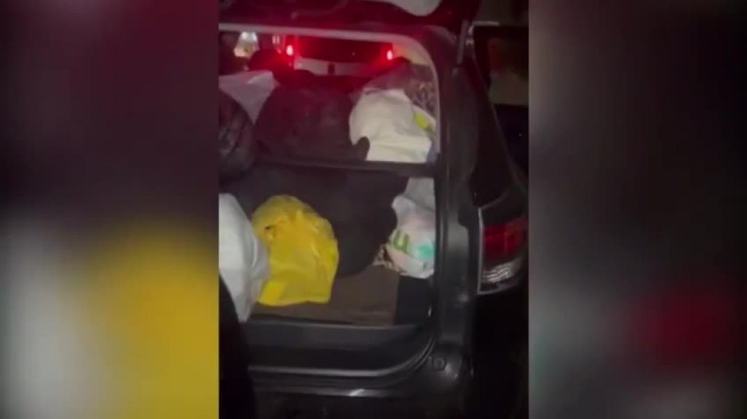Жена пыталась перевезти мужа в багажнике Лексуса через границу Украины в Венгрию