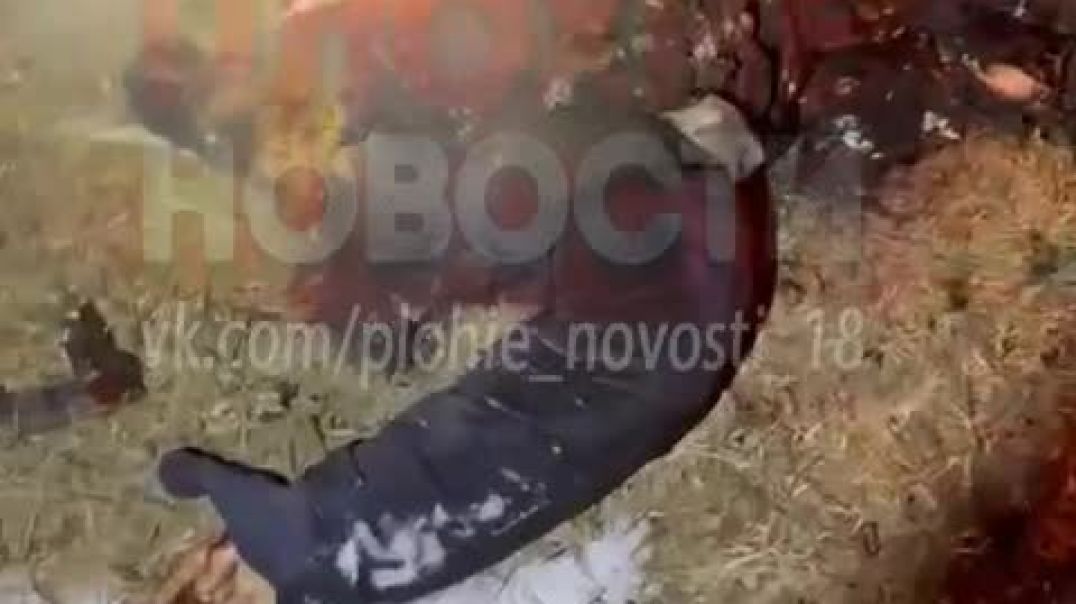 ⁣Горящее тело пилота самолета сбитого вблизи Житомира, принадлежность неизвестна