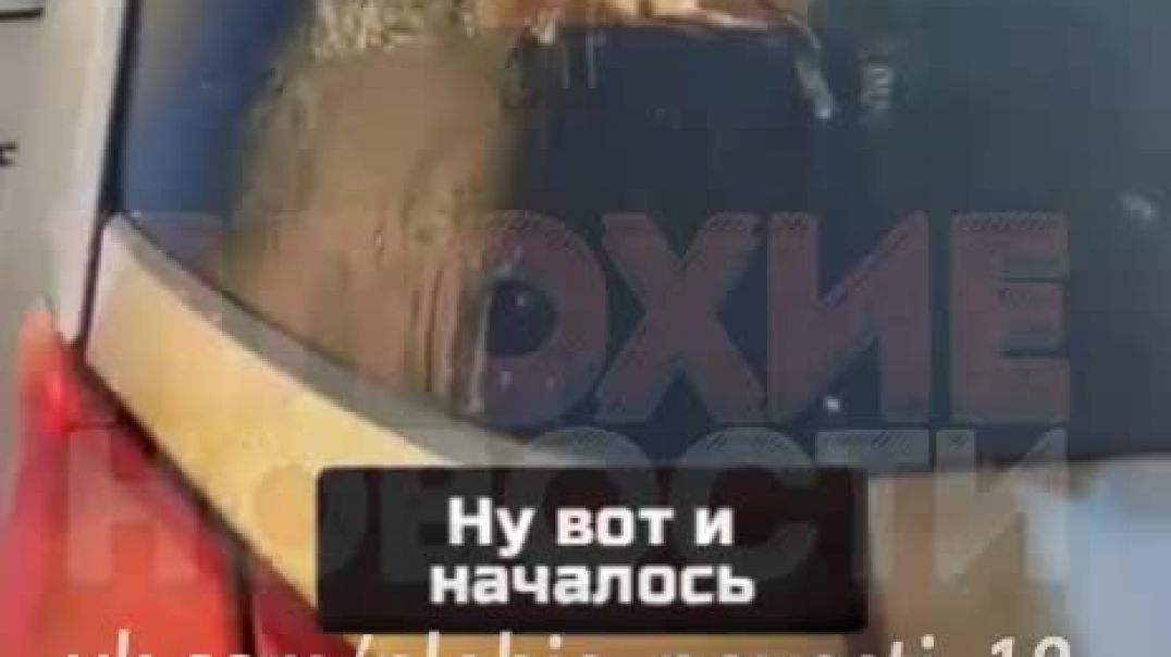 Автомобиль россиянки, которая установила букву Z на заднее стекло, облили нечистотами