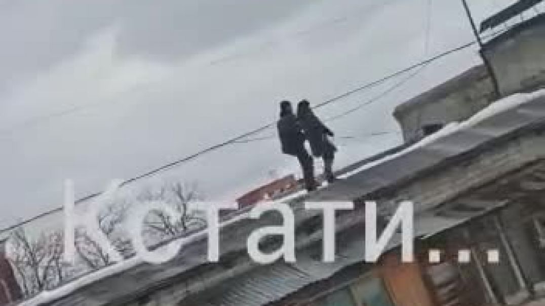 ⁣В Нижнем Новгороде придумали новый способ выгула собак - на крыше дома 21.03.2022
