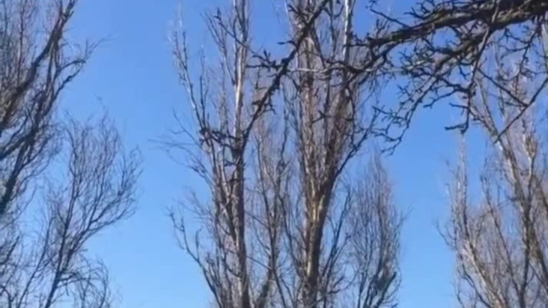 ⁣Ударные вертолеты в небе над Донбассом 18.03.2022