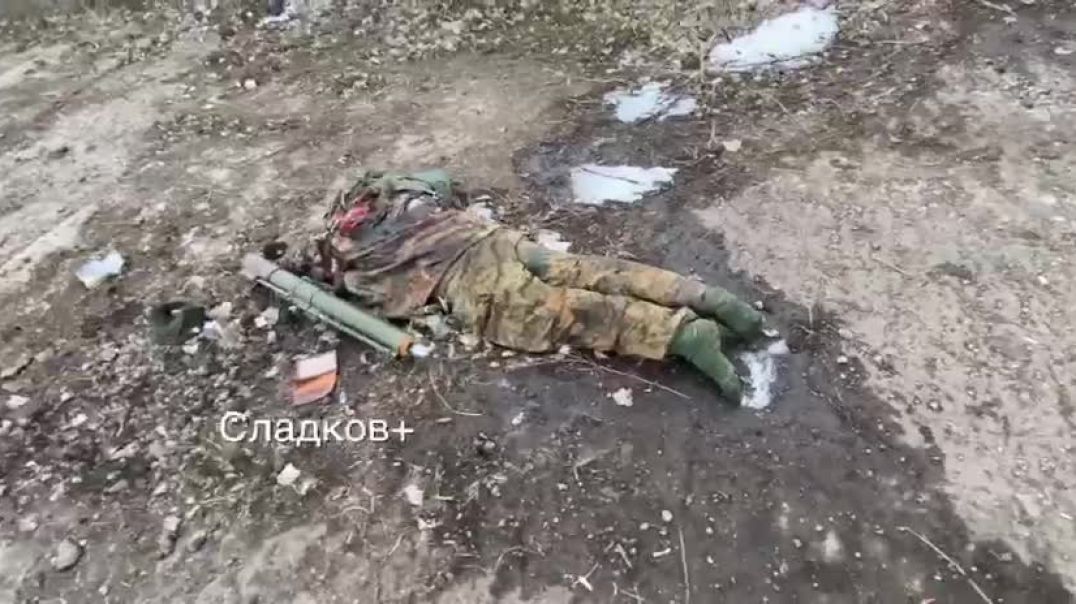 Погибшие украинские военные в селе Степное