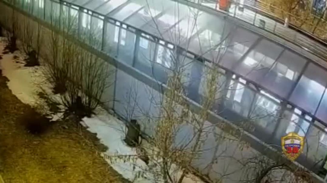 Экстремал в Москве спрыгнул с моста на крышу поезда метро на станции Пионерская
