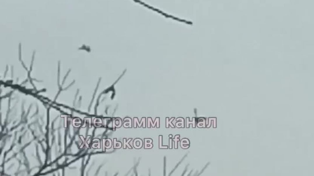 ⁣Украинский МиГ-29 где-то над Харьковской областью 31.03.2022