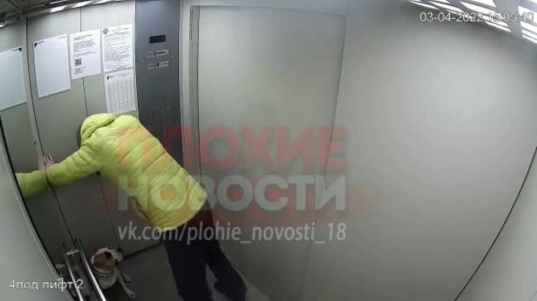 ⁣Житель Свердловской области жестоко наказал своего бойцовского пса 06.04.2022