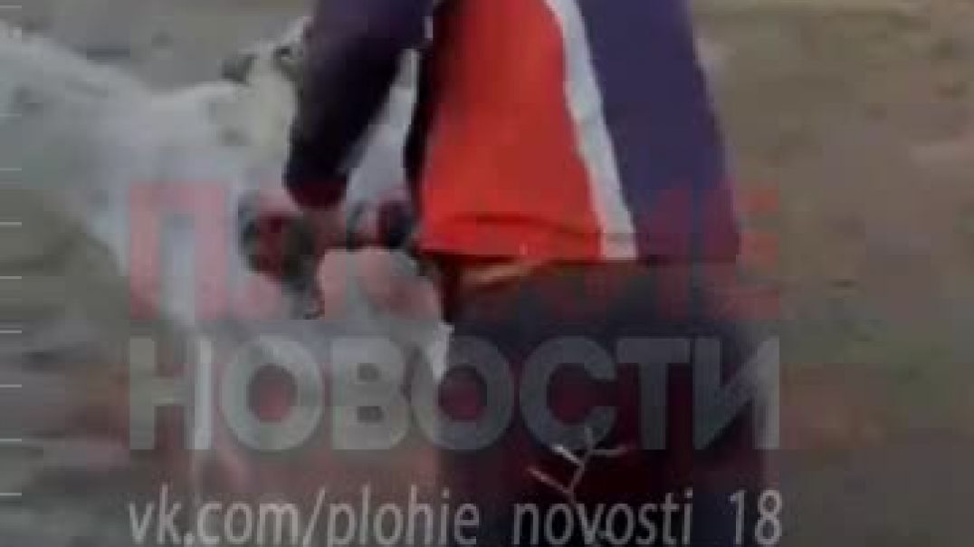 Зоозащитники в Узбекистане опубликовали в сети ролик, на котором несколько мужчин жестоко издеваются над ослами 08.04.2022