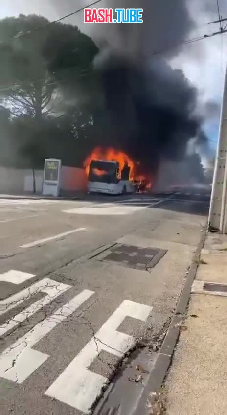  Во Франции на ходу загорелся школьный автобус