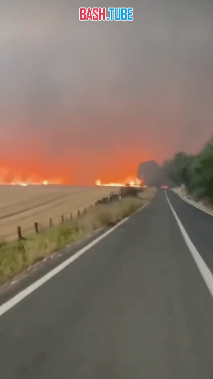  Огненный торнадо попал на видео в Чили, где сейчас бушуют лесные пожары
