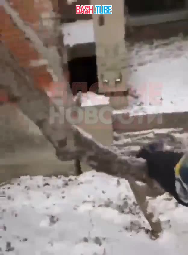  «Труп стоит»: чудовищную находку обнаружили дети в заброшенном здании в Приморье