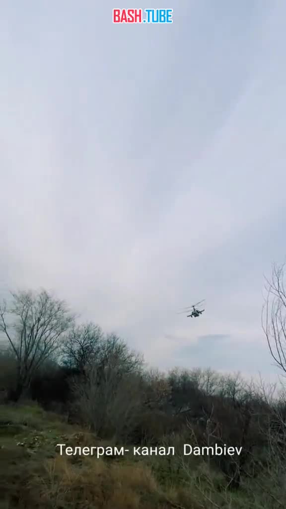 ⁣ Боевой вертолет Ка-52 армейской авиации ВКС России в небе на Донбассе