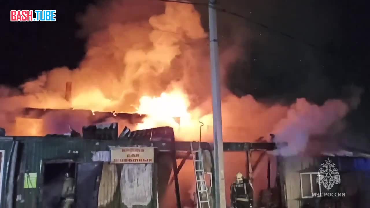  В доме престарелых в Кемерово при пожаре погибли 20 человек