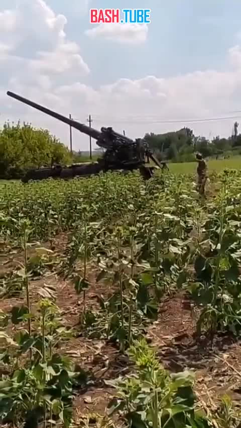  Самостоятельная аннигиляция артиллерии и экипажа ВСУ в Харьковской области