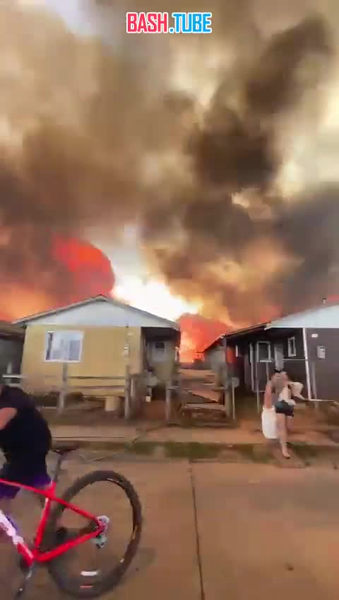  Лесные пожары в Чили