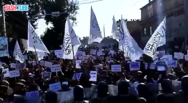 ⁣ Тысячи афганцев вышли на протесты против глумления над Кораном в Нидерландах, требуя наказать виновных