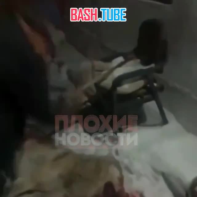  Жуткие кадры из Казахстана: мужчина забил до смерти собаку кувалдой