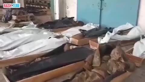  Десятки деревянных гробов с телами погибших украинских солдат в Артёмовске