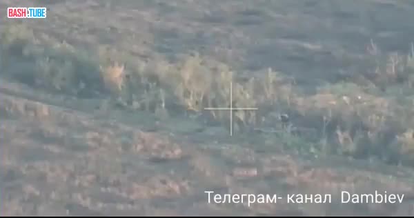 ⁣ Точный артиллерийский удар по скоплению пехоты украинских формирований в лесопосадках под Урожайным