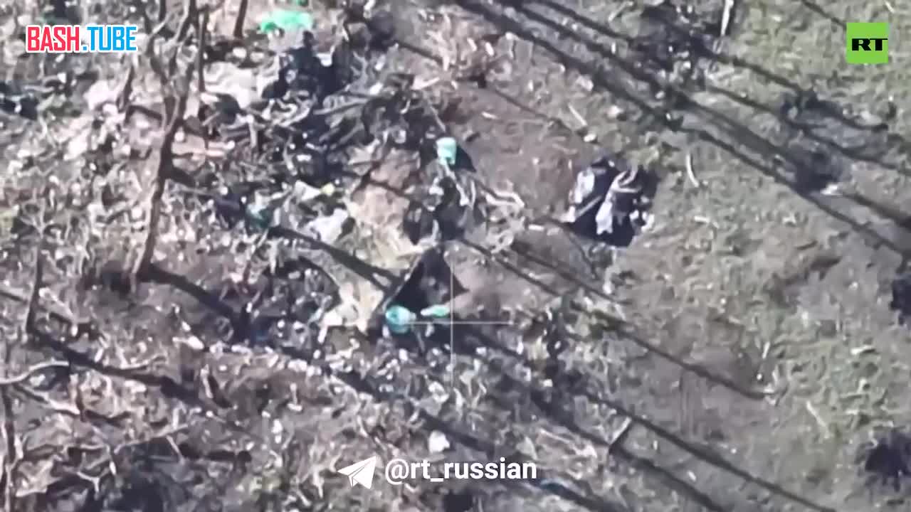  FPV-дроны выверенными ударами уничтожают позиции ВСУ под Клещеевкой (ДНР)