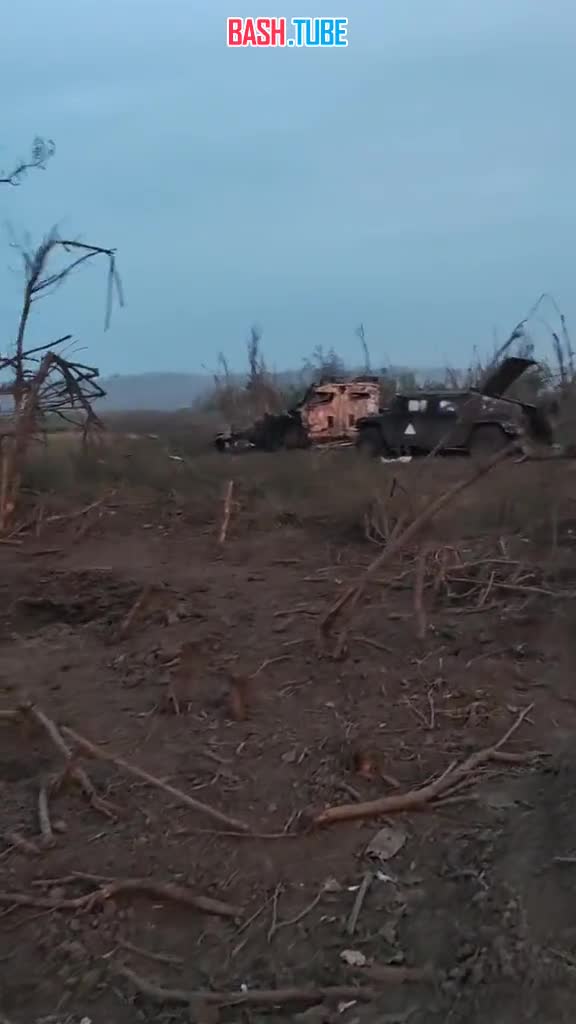  Уничтоженные украинские бронеавтомобили Oshkosh M-ATV, HMMWV и бронетранспортёр M113 в районе Вербового