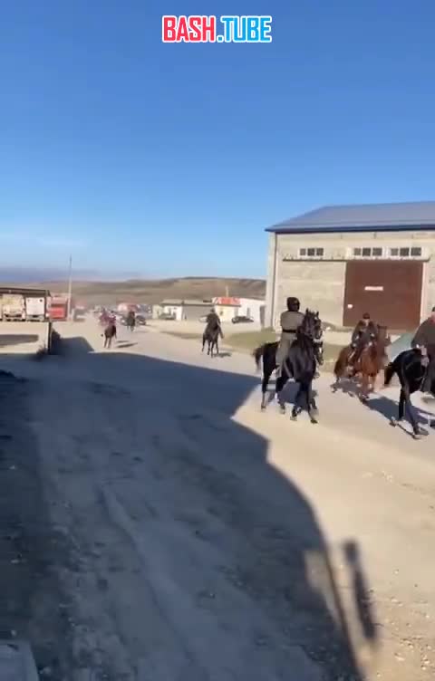  В Дагестане прошел конный пробег в поддержку Палестины