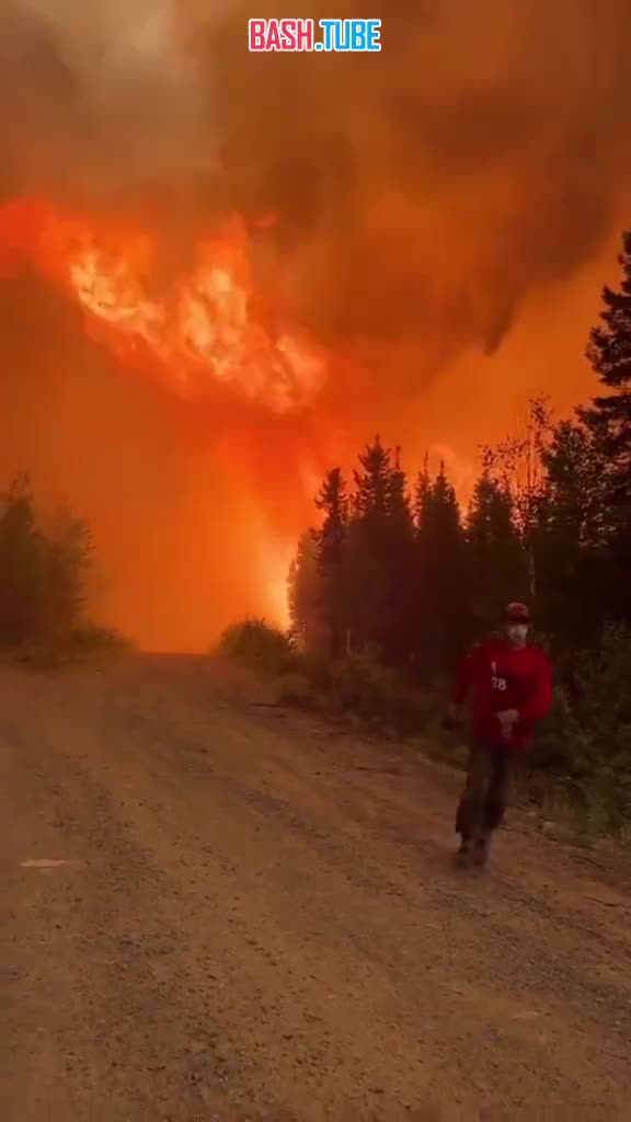 ⁣ Десятки тысяч людей вынуждены эвакуироваться из-за лесных пожаров в Канаде