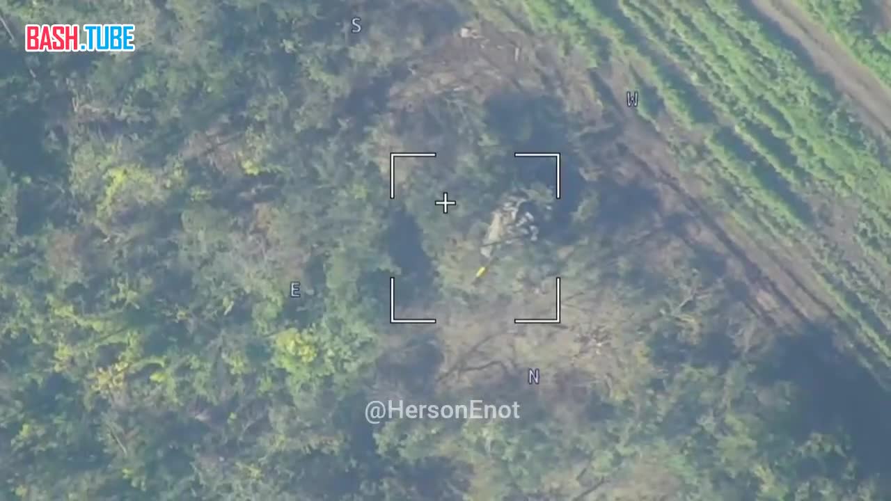 ⁣ Уничтожение замаскированного в лесополосе украинского танка в окрестностях Соледара
