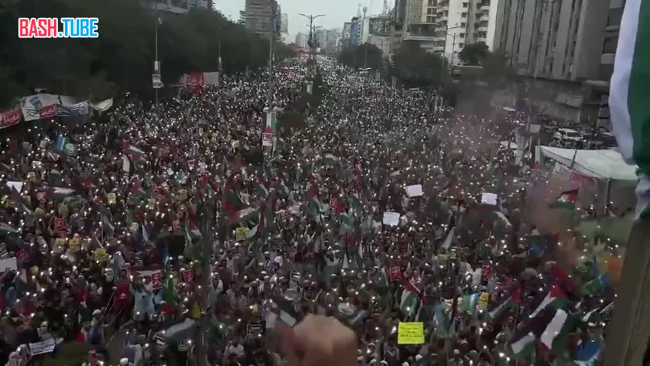  В Пакистане прошла массовая демонстрация в поддержку Палестины