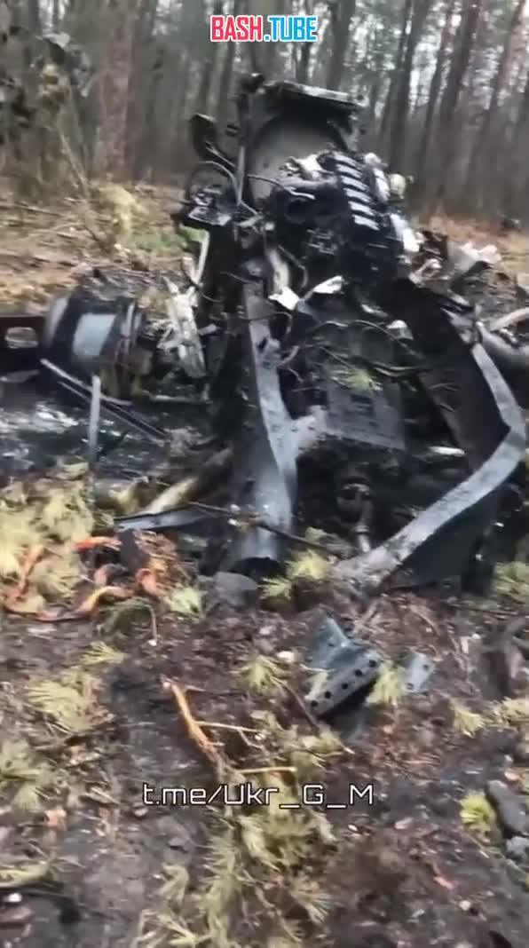 ⁣ Кадры уничтоженной бронетехники украинских формирований в Кременском лесу