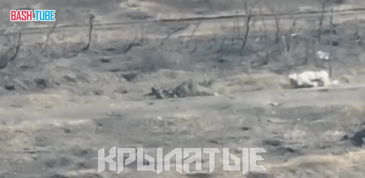 ⁣ Уничтожение группы солдат ВСУ огнём артиллерии подразделений ВДВ