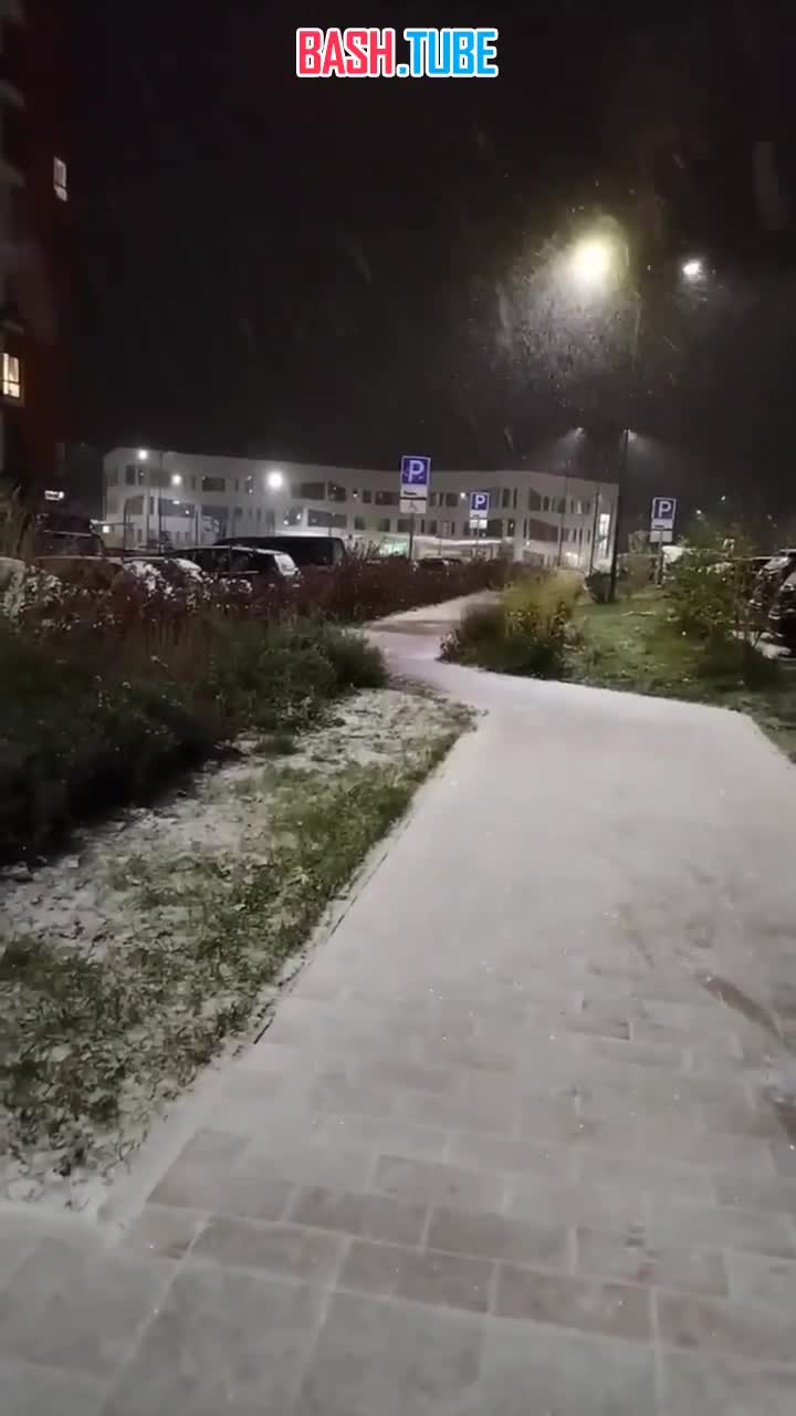 ⁣ Москву начало заметать снегом