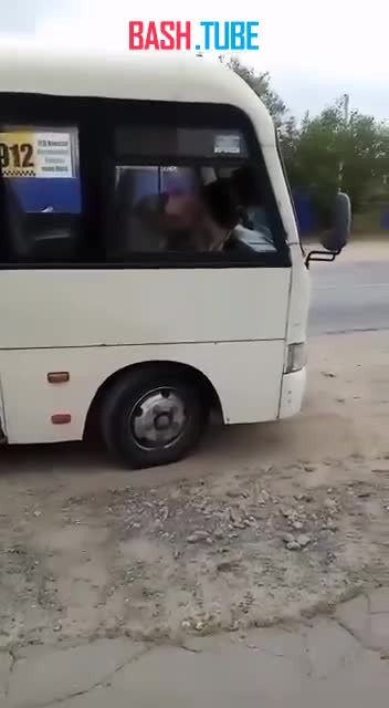  Овчарка «захватила» пассажирский автобус в Ростовской области