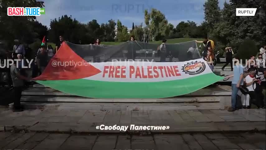  «Свободу Палестине»: новые акции в поддержку Палестины прошли в нескольких европейских столицах