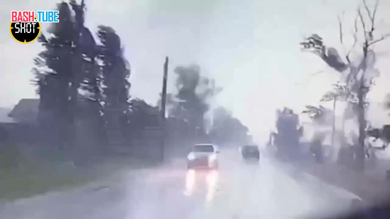 ⁣ Момент падения дерева на автомобили во время урагана в Коломне