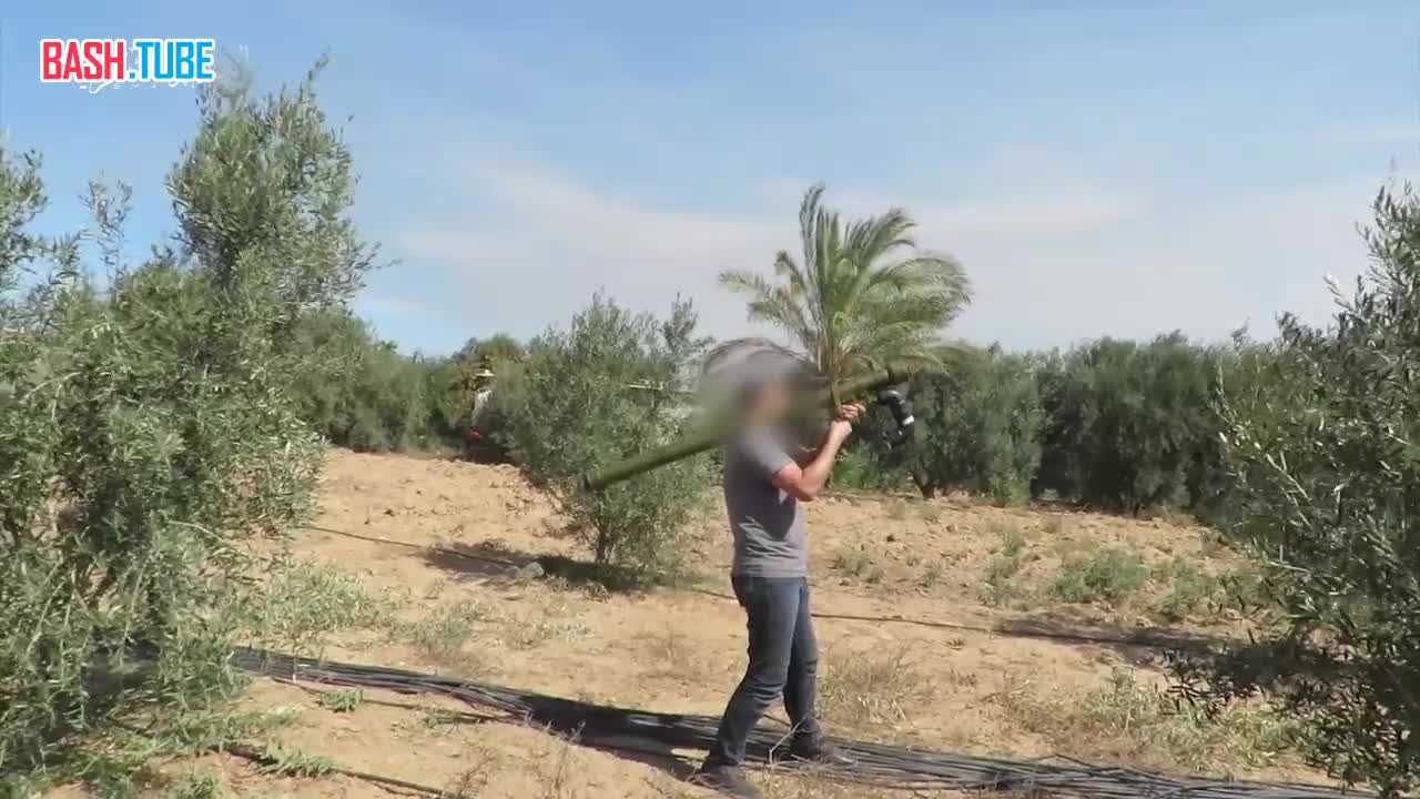  Арабские ресурсы публикуют видео пусков ракет ПЗРК «Стрела-2» по израильским летательным аппаратам