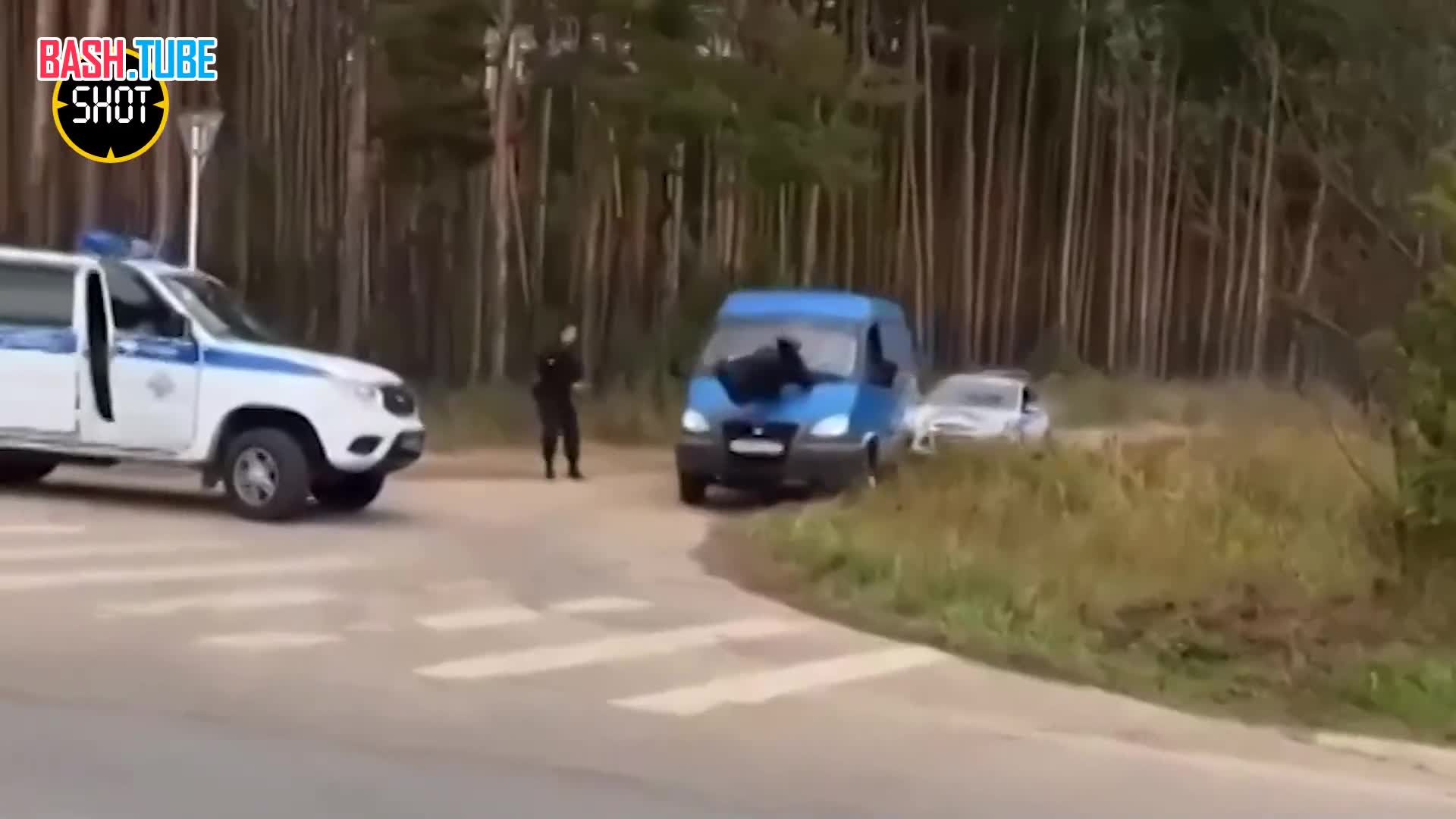  Водитель протаранил полицейского на дороге во Владимирской области