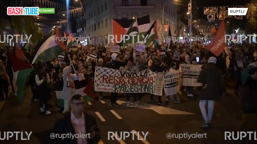  Многотысячная акция в поддержку Палестины прошла в Барселоне