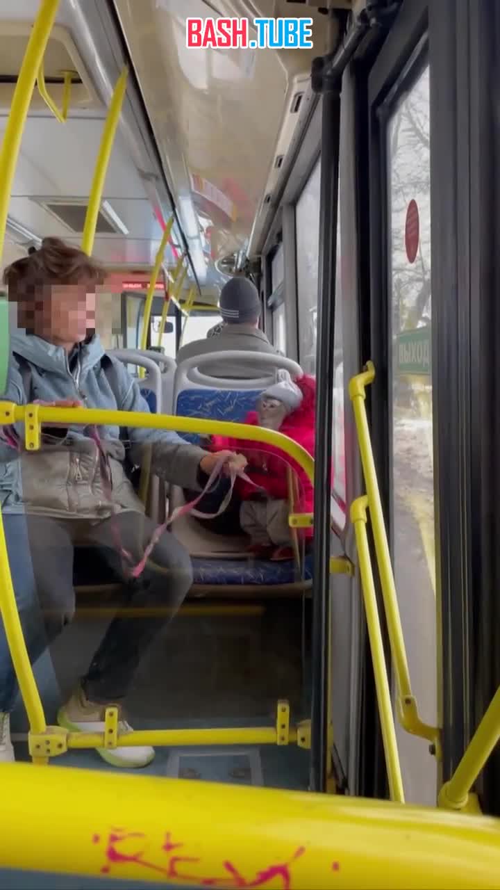  Вот такого непоседливого малыша заметили в пассажирском автобусе Егорьевск-Воскресенск)