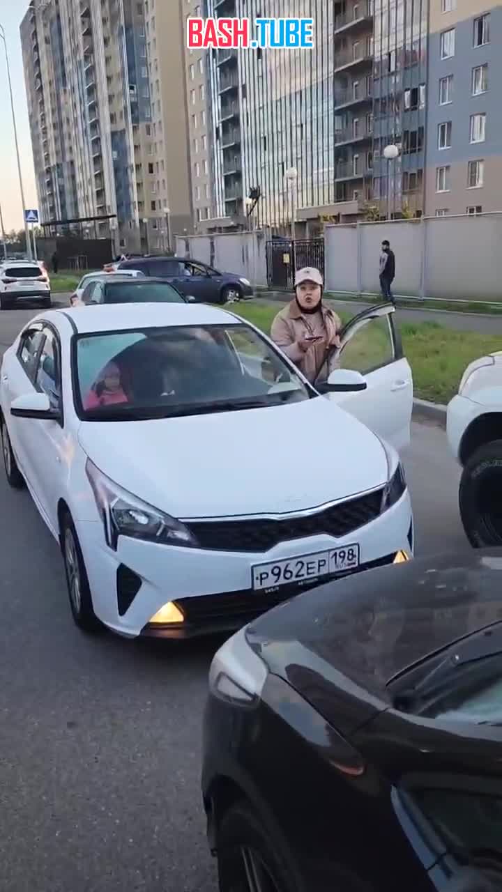  В Петербурге мигрантка двигалась по одностороннему движению, а после возмущения водителей закатила скандал