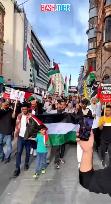  Европейские города заполонили мусульмане, которые открыто выступили с поддержкой Палестины