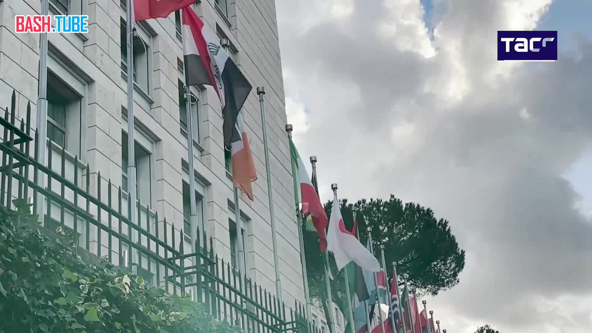 ⁣ В Риме участник акции в поддержку Палестины сорвал флаг Израиля со штаб-квартиры ФАО