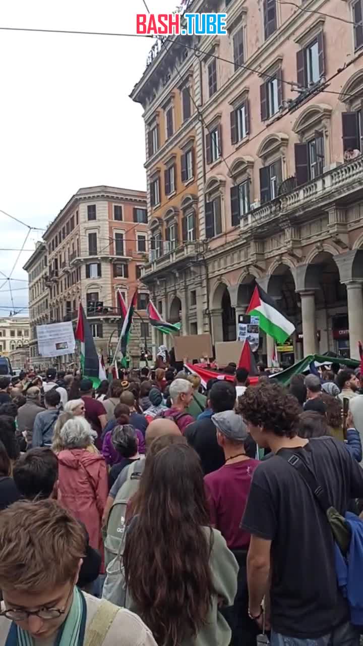  В центре Рима массовый митинг в поддержку Палестины