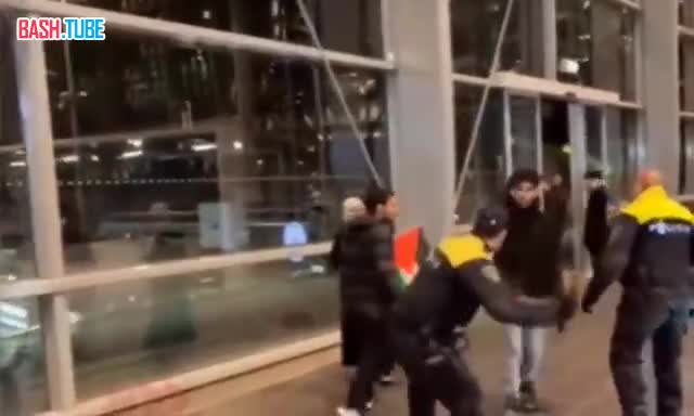  В аэропорту Амстердама полиция избила палестинцев