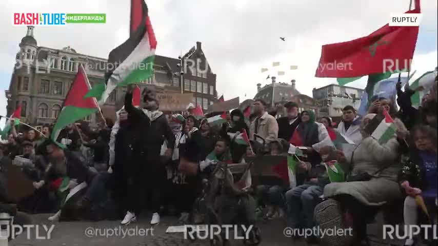  Сотни демонстрантов провели в Амстердаме митинг в поддержку Палестины