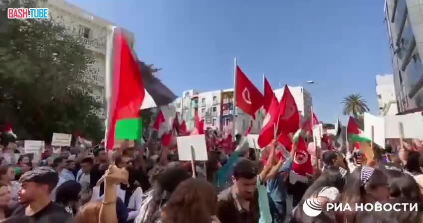 ⁣ По исламскому миру идут демонстрации в поддержку Палестины