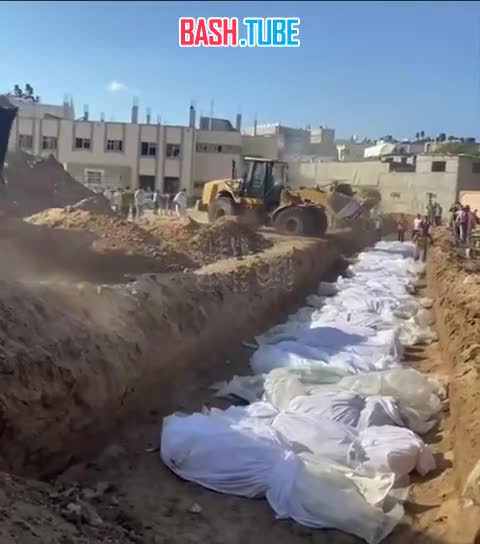  Братская могила в Секторе Газа