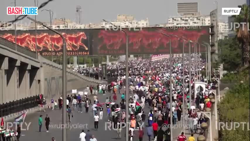  Тысячи людей вышли на улицы в знак солидарности с палестинцами в Каире