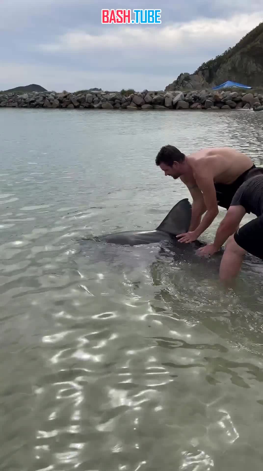  В Приморье отдыхающие поймали акулу рядом с туристической базой