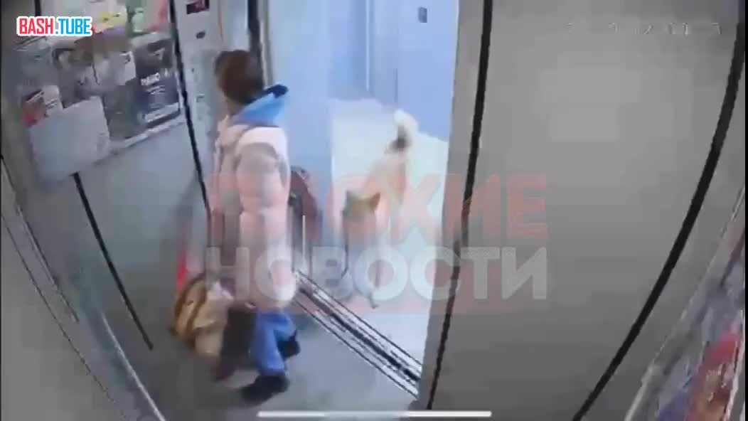 ⁣ В Казани девушка повисла на поводке в лифте из-за застрявшей на этаже собаки