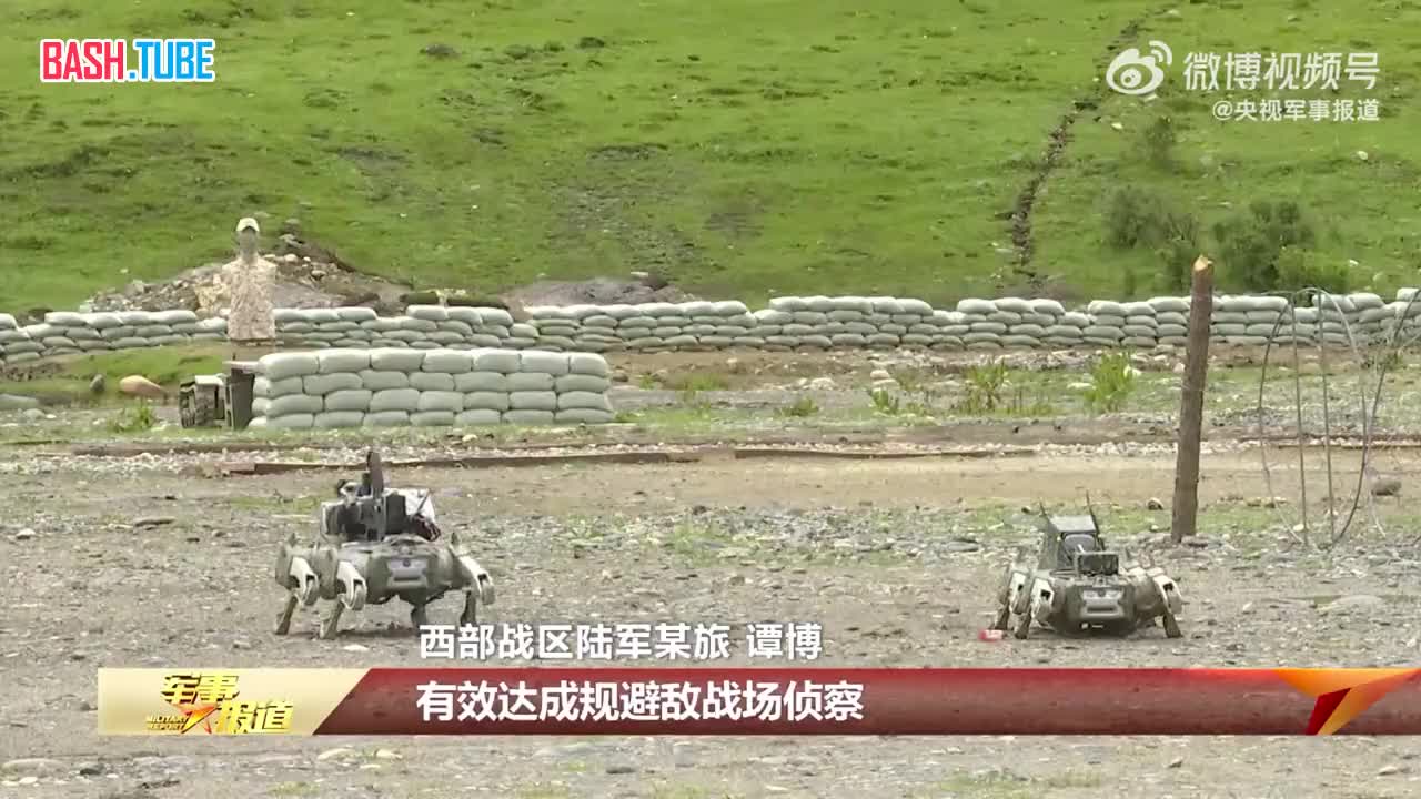  Китайские робособаки с установленными винтовками